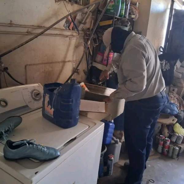 Mantener patios limpios reduce riesgos de dengue y rickettsiosis: Salud Sonora